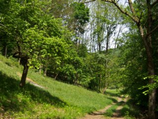 20110523_unterregenbach_018