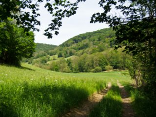 20110523_unterregenbach_019