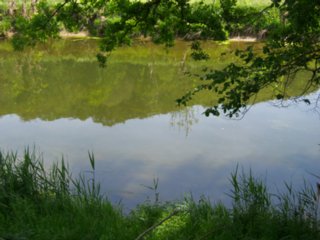 20110523_unterregenbach_020