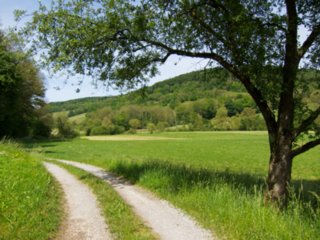 20110523_unterregenbach_021