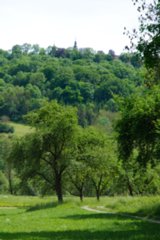 20110523_unterregenbach_023