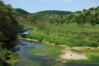 20110523_unterregenbach_027