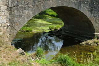 20110523_unterregenbach_032