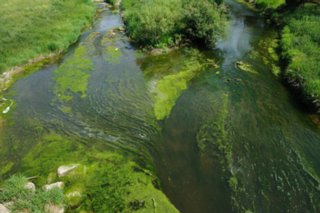 20110523_unterregenbach_037