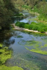 20110523_unterregenbach_039