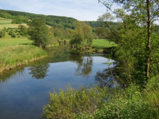 20110523_unterregenbach_047
