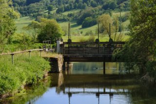 20110523_unterregenbach_072