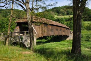 20110523_unterregenbach_074