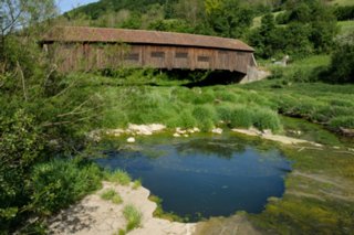 20110523_unterregenbach_080