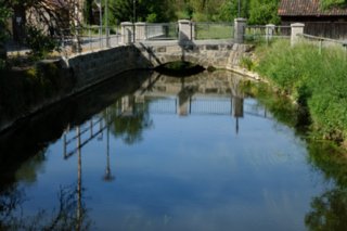 20110523_unterregenbach_082