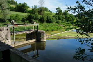 20110523_unterregenbach_084