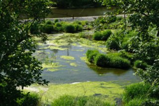 20110523_unterregenbach_093