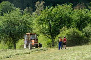 20110523_unterregenbach_102