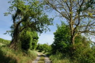 20110523_unterregenbach_103