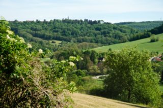 20110523_unterregenbach_105