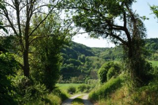 20110523_unterregenbach_106
