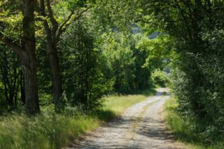 20110523_unterregenbach_110