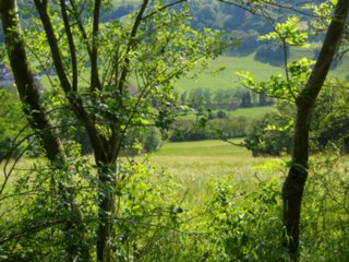 20110523_unterregenbach_117