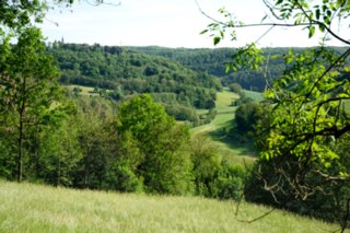 20110523_unterregenbach_121