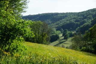 20110523_unterregenbach_126