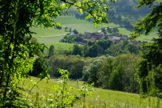 20110523_unterregenbach_128