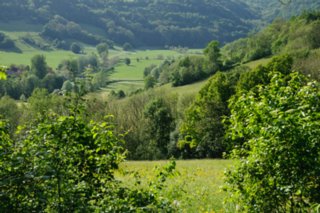 20110523_unterregenbach_129