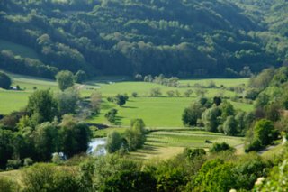 20110523_unterregenbach_132