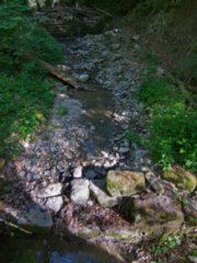 20110523_unterregenbach_134