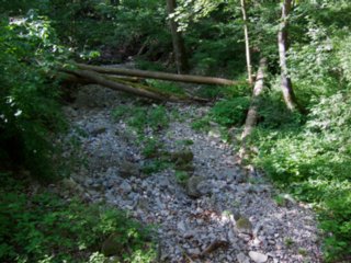 20110523_unterregenbach_135