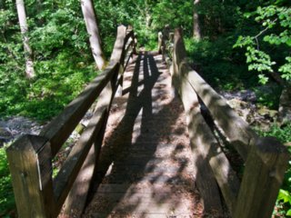 20110523_unterregenbach_137