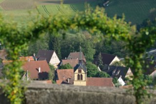20110523_unterregenbach_145