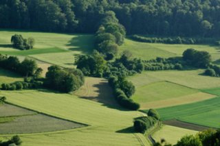20110523_unterregenbach_159