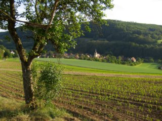 20110523_unterregenbach_162