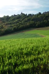 20110523_unterregenbach_163