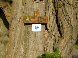 20110523_unterregenbach_168