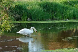 20110523_unterregenbach_175