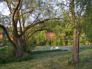 20110523_unterregenbach_180