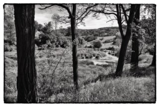 20110523_unterregenbach_087-bearb-bw