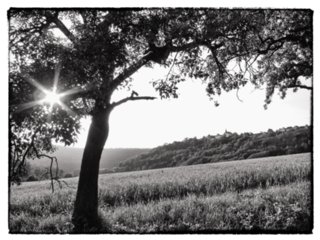 20110523_unterregenbach_169-bearb-bw