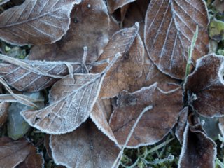 20151229_panoramarunde_jagst_007