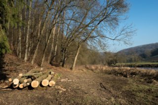 20151229_panoramarunde_jagst_013