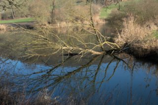 20151229_panoramarunde_jagst_020