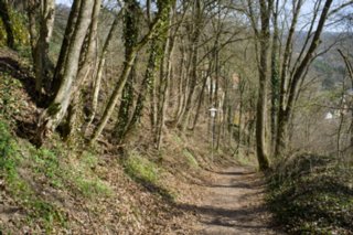 20120402_braunsbach-doettingen_002