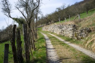 Wanderung Braunsbach - Döttingen Durch Obstwiesen und an Steinmauern und Steinriegeln entlang ziehst sich der Weg auf halber Höhe des Tales wildromantisch dabein. Wanderung durch Wiesenwege und...