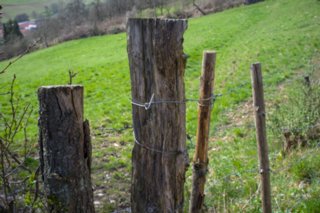 20120402_braunsbach-doettingen_007