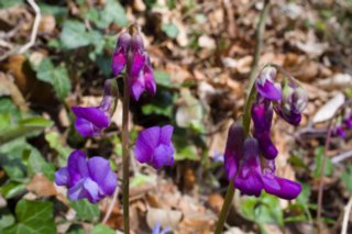 20120402_braunsbach-doettingen_013