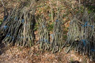 20120402_braunsbach-doettingen_016