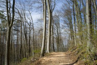 20120402_braunsbach-doettingen_018
