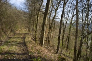 20120402_braunsbach-doettingen_028