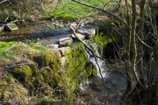20120402_braunsbach-doettingen_035